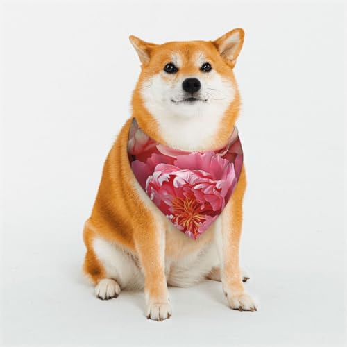 Hundehalstuch, Pfingstrosen, Blumen, Blüte, verstellbar, Haustierhalstücher für Hunde, Weihnachten, Haustier-Schal, Dreieck-Lätzchen, Halstuch, weich, atmungsaktiv, Welpen-Bandana für kleine, Hundehalstuch, Pfingstrosen, Blumen, Blüte, verstellbar, Haustierhalstücher für Hunde, Weihnachten, Haustier-Schal, Dreieck-Lätzchen, Halstuch, weich, atmungsaktiv, Welpen-Bandana für kleine, von QMNEHJ