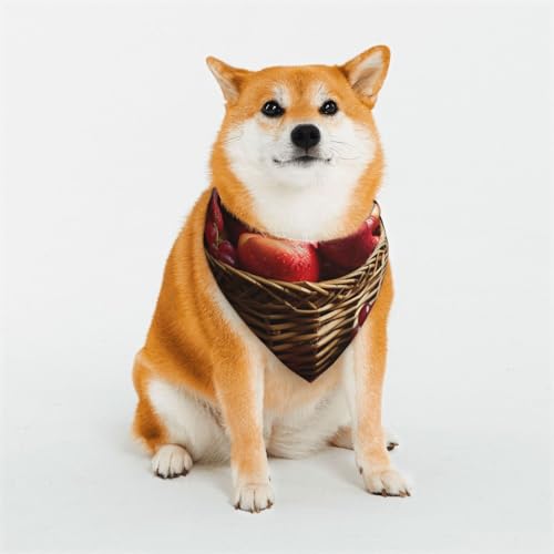 Hundehalstuch, rotes Obst im Korb, verstellbare Haustierhalstücher für Hunde, Weihnachten, Haustier-Schal, Dreieck-Lätzchen, Halstuch, weich, atmungsaktiv, Welpen-Bandana für kleine, mittelgroße und Hundehalstuch, rotes Obst im Korb, verstellbare Haustierhalstücher für Hunde, Weihnachten, Haustier-Schal, Dreieck-Lätzchen, Halstuch, weich, atmungsaktiv, Welpen-Bandana für kleine, mittelgroße und von QMNEHJ