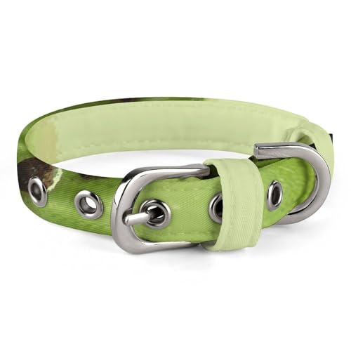 Hundehalsbänder Kiwi Slice Verstellbares Haustierhalsband für kleine, mittelgroße Katzen und Hunde Hundehalsbänder Kiwi Slice Verstellbares Haustierhalsband für kleine, mittelgroße Katzen und Hunde von QMNLKH