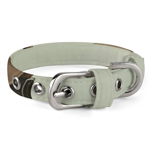 Hundehalsbänder zum Laufen mit Geschenk, verstellbares Haustierhalsband für kleine, mittelgroße Katzen und Hunde Hundehalsbänder zum Laufen mit Geschenk, verstellbares Haustierhalsband für kleine, mittelgroße Katzen und Hunde von QMNLKH