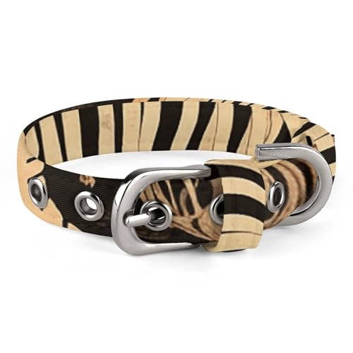 Hundehalsband, Dinosaurier-Skelett-Druck, verstellbar, für kleine, mittelgroße Katzen und Hunde Hundehalsband, Dinosaurier-Skelett-Druck, verstellbar, für kleine, mittelgroße Katzen und Hunde von QMNLKH