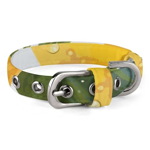 Hundehalsband, Gelb, Zitrone, verstellbar, für kleine, mittelgroße Katzen und Hunde Hundehalsband, Gelb, Zitrone, verstellbar, für kleine, mittelgroße Katzen und Hunde von QMNLKH
