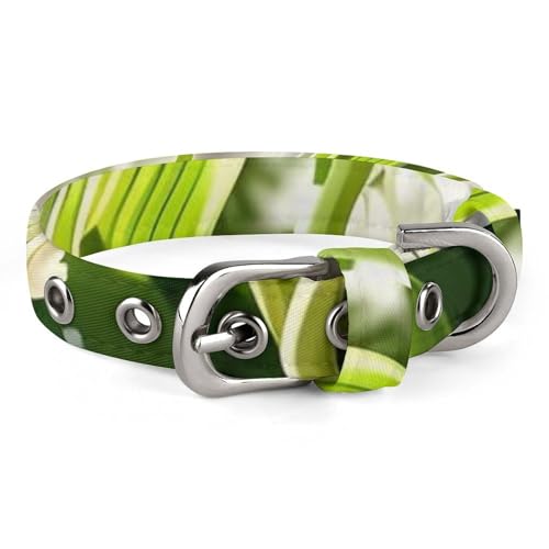 Hundehalsband, Glocken-Orchideen-Druck, verstellbar, für kleine, mittelgroße Katzen und Hunde Hundehalsband, Glocken-Orchideen-Druck, verstellbar, für kleine, mittelgroße Katzen und Hunde von QMNLKH