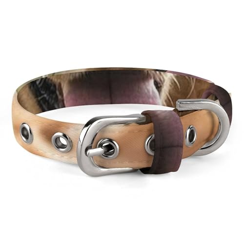 Hundehalsband, Golden Retriever, verstellbar, für kleine, mittelgroße Katzen und Hunde Hundehalsband, Golden Retriever, verstellbar, für kleine, mittelgroße Katzen und Hunde von QMNLKH