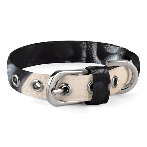 Hundehalsband, Mops, verstellbar, für kleine, mittelgroße Katzen, Hunde, Schwarz Hundehalsband, Mops, verstellbar, für kleine, mittelgroße Katzen, Hunde, Schwarz von QMNLKH