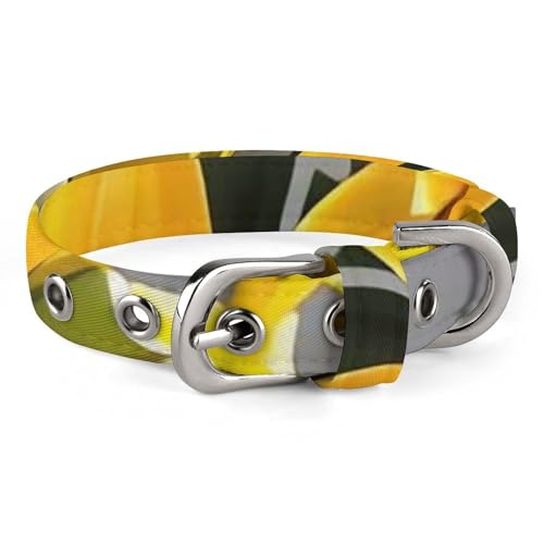 Hundehalsband, Narzissenstrauß, verstellbar, für kleine, mittelgroße Katzen und Hunde Hundehalsband, Narzissenstrauß, verstellbar, für kleine, mittelgroße Katzen und Hunde von QMNLKH