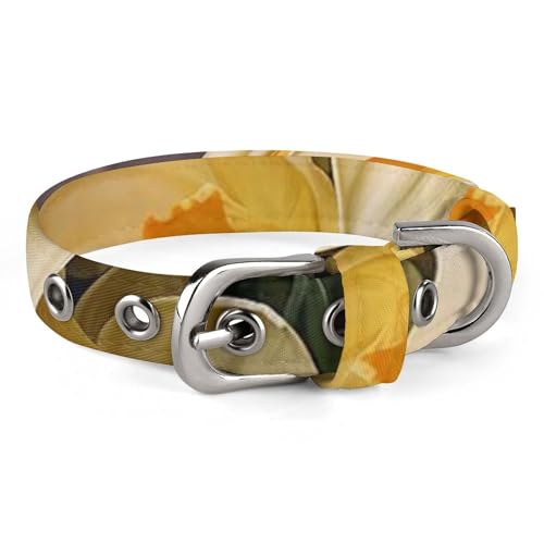 Hundehalsband, Narzissenstrauß, verstellbar, für kleine, mittelgroße Katzen und Hunde Hundehalsband, Narzissenstrauß, verstellbar, für kleine, mittelgroße Katzen und Hunde von QMNLKH