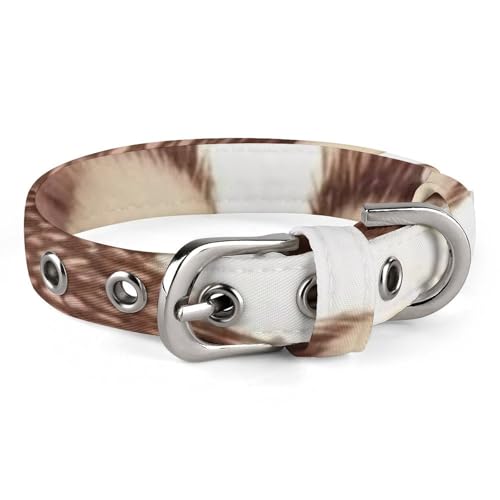 Hundehalsband, Natur, schön, Igelliebhaber, verstellbares Haustierhalsband für kleine, mittelgroße Katzen und Hunde Hundehalsband, Natur, schön, Igelliebhaber, verstellbares Haustierhalsband für kleine, mittelgroße Katzen und Hunde von QMNLKH
