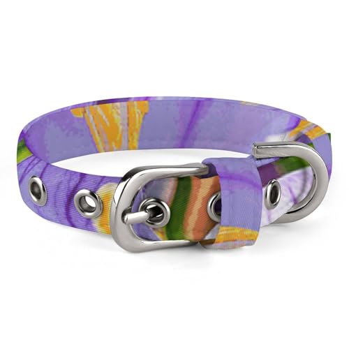 Hundehalsband, Safran, verstellbar, für kleine, mittelgroße Katzen und Hunde Hundehalsband, Safran, verstellbar, für kleine, mittelgroße Katzen und Hunde von QMNLKH
