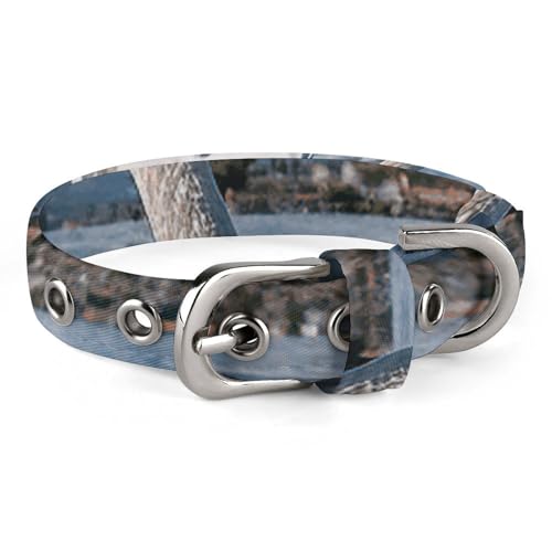 Hundehalsband, Schwan im See, verstellbar, für kleine, mittelgroße Katzen und Hunde Hundehalsband, Schwan im See, verstellbar, für kleine, mittelgroße Katzen und Hunde von QMNLKH