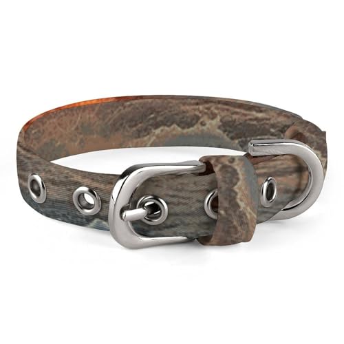 Hundehalsband, Sonnenuntergang, verstellbar, für kleine, mittelgroße Katzen und Hunde Hundehalsband, Sonnenuntergang, verstellbar, für kleine, mittelgroße Katzen und Hunde von QMNLKH