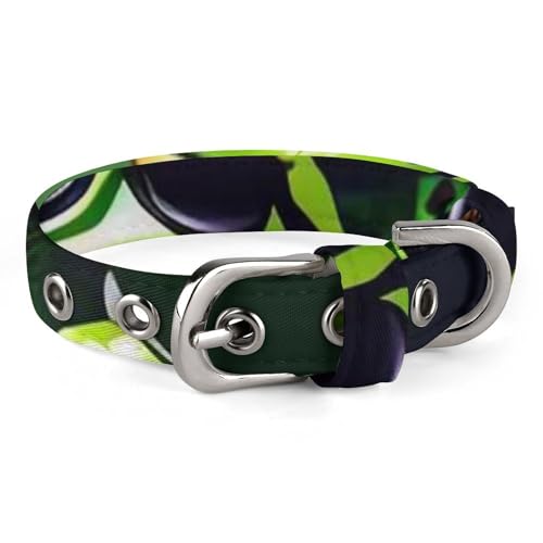 Hundehalsband, Tier, Frosch, grüne Blätter, verstellbares Haustierhalsband für kleine, mittelgroße Katzen und Hunde Hundehalsband, Tier, Frosch, grüne Blätter, verstellbares Haustierhalsband für kleine, mittelgroße Katzen und Hunde von QMNLKH