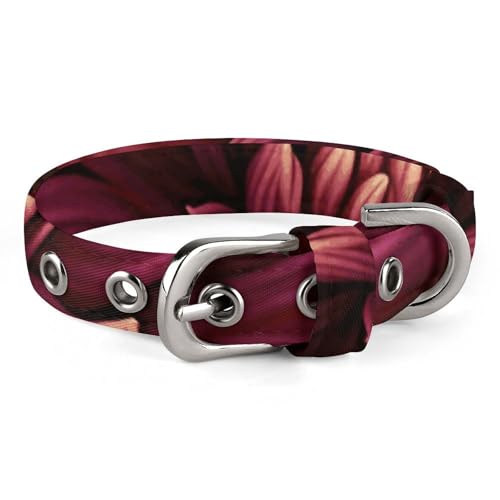 Hundehalsband, Weinrot, künstlerische Blume, verstellbar, für kleine, mittelgroße Katzen und Hunde Hundehalsband, Weinrot, künstlerische Blume, verstellbar, für kleine, mittelgroße Katzen und Hunde von QMNLKH