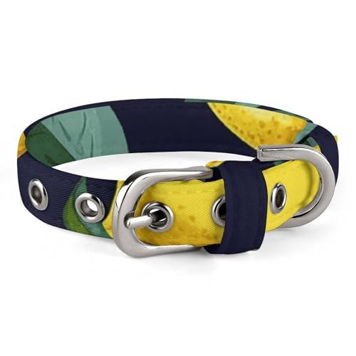 Hundehalsband, Zitronenfrucht, verstellbar, für kleine, mittelgroße Katzen und Hunde Hundehalsband, Zitronenfrucht, verstellbar, für kleine, mittelgroße Katzen und Hunde von QMNLKH