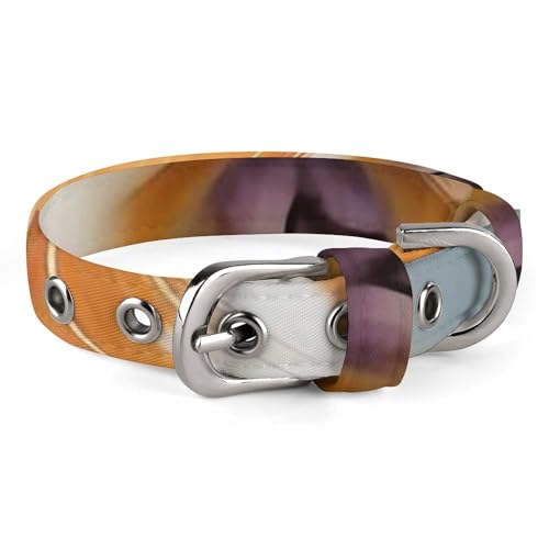 Hundehalsband, geschnitten, Meerschweinchen, verstellbar, für kleine, mittelgroße Katzen und Hunde Hundehalsband, geschnitten, Meerschweinchen, verstellbar, für kleine, mittelgroße Katzen und Hunde von QMNLKH