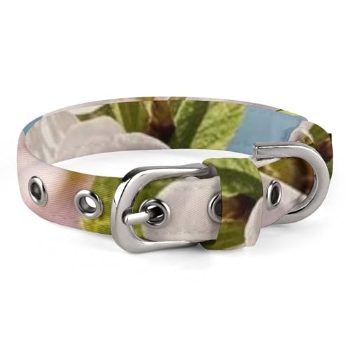 Hundehalsband, japanisches Blumenmuster, Kirschblüte, verstellbar, für kleine, mittelgroße Katzen und Hunde Hundehalsband, japanisches Blumenmuster, Kirschblüte, verstellbar, für kleine, mittelgroße Katzen und Hunde von QMNLKH