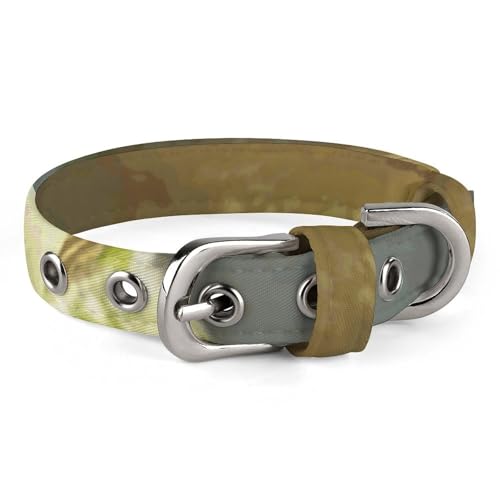 Hundehalsband, niedlicher Frosch, verstellbar, für kleine, mittelgroße Katzen und Hunde Hundehalsband, niedlicher Frosch, verstellbar, für kleine, mittelgroße Katzen und Hunde von QMNLKH