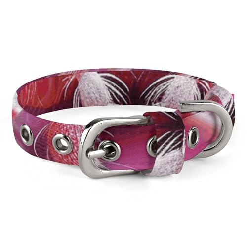 Hundehalsband, rote Spinne auf Blume, verstellbar, für kleine, mittelgroße Katzen und Hunde Hundehalsband, rote Spinne auf Blume, verstellbar, für kleine, mittelgroße Katzen und Hunde von QMNLKH