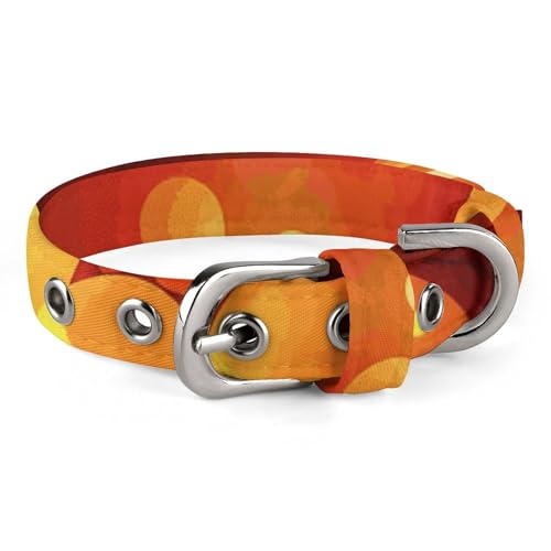 Hundehalsband, verträumter Hintergrund, verstellbar, für kleine, mittelgroße Katzen und Hunde Hundehalsband, verträumter Hintergrund, verstellbar, für kleine, mittelgroße Katzen und Hunde von QMNLKH
