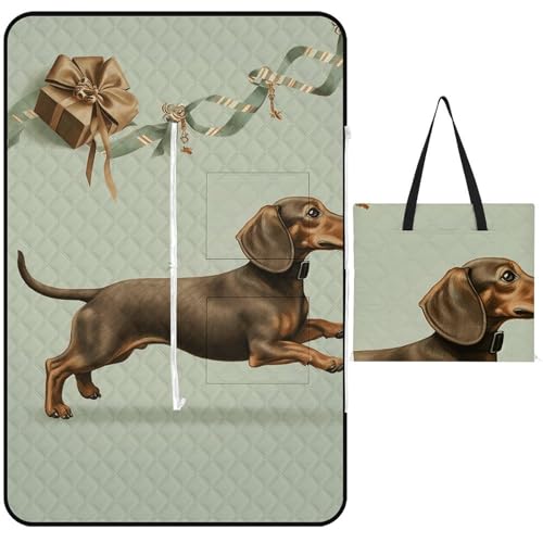 QMNLKH Faltbare Outdoor-Picknickdecke mit Reißverschluss, Picknick-Matte, Hund, Laufen, mit Geschenk, wasserdichte Stranddecke für Damen und Herren, Picknick, Camping von QMNLKH