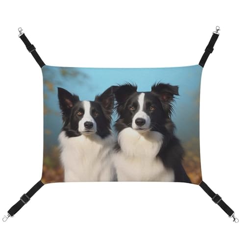 QMNVBDS Border Collie Katzenhängematte Frettchen-Hängematte Meerschweinchen-Hängematte Rattenhängematte Hängende Katzenbett Chinchilla Hängematte Hamster Hängematte Katzenhängematte für Käfig von QMNVBDS