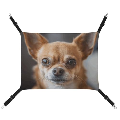 QMNVBDS Eine braune Chihuahua-Hängematte für Katzen, Frettchen, Meerschweinchen, Ratten, Hängematte, Katzenbett, Chinchilla-Hängematte, Hamster, Katzenhängematte für Käfig, Katzenbedarf, QMNVBDS Eine braune Chihuahua-Hängematte für Katzen, Frettchen, Meerschweinchen, Ratten, Hängematte, Katzenbett, Chinchilla-Hängematte, Hamster, Katzenhängematte für Käfig, Katzenbedarf, von QMNVBDS