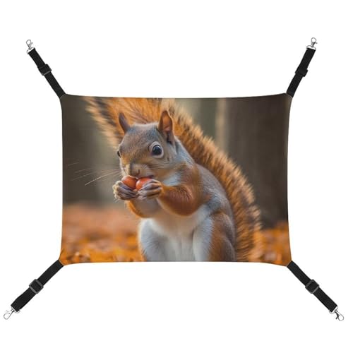 QMNVBDS Entzückende Tier-/Katzen-Hängematte Frettchen-Hängematte Meerschweinchen-Hängematte Ratten-Hängematte zum Aufhängen von Katzenbett Chinchilla-Hängematte Hamsterhängematte Katzenhängematte für von QMNVBDS