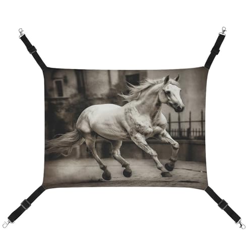 QMNVBDS Horse in The Street Katzenhängematte Frettchen-Hängematte Meerschweinchen-Hängematte Rattenhängematte Hängende Katzenbett Chinchilla Hängematte Hamster Hängematte Katzenhängematte für Käfig von QMNVBDS