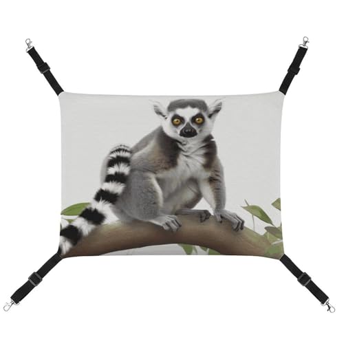 QMNVBDS Lemur Katzenhängematte Frettchen-Hängematte Meerschweinchen-Hängematte Rattenhängematte Hängende Katzenbett Chinchilla Hängematte Hamster Hängematte Katzenhängematte für Käfig Katzenbedarf von QMNVBDS