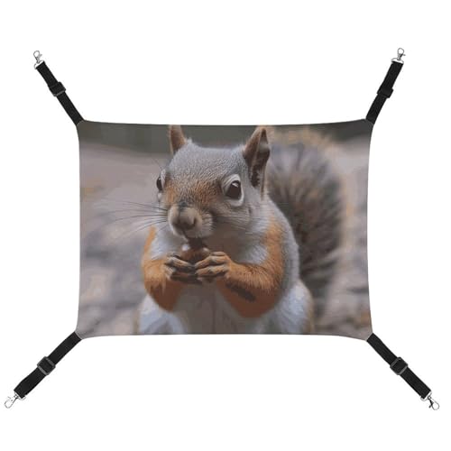 QMNVBDS Niedliche Eichhörnchen-Hängematte für Katzen, Frettchen, Meerschweinchen, Ratten, Hängematte, Katzenbett, Chinchilla-Hängematte, Hamster-Hängematte, Katzenhängematte für Käfig, Katzenbedarf, von QMNVBDS