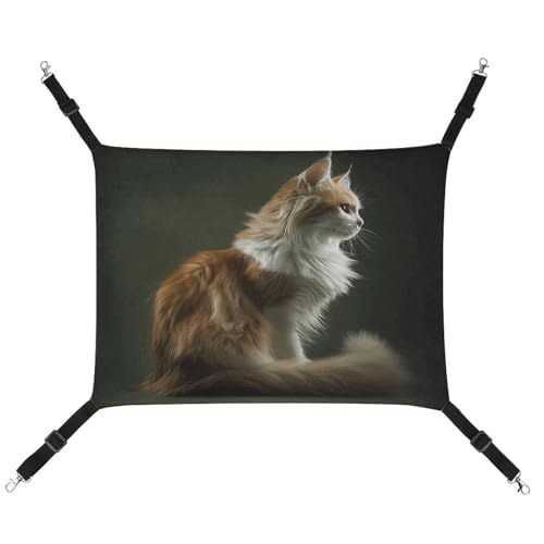 QMNVBDS Orange und Weiß Katze Hängematte Frettchen Hängematte Meerschweinchen Hängematte Ratten Hängematte Hängende Katzenbett Chinchilla Hängematte Hamster Hängematte Katze Hängematte für Käfig von QMNVBDS
