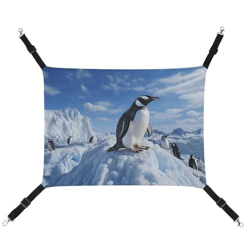 QMNVBDS Snow Mountain Pinguin Katze Hängematte Frettchen Hängematte Meerschweinchen Hängematte Ratten Hängematte Hängende Katzenbett Chinchilla Hängematte Hamster Hängematte Katze Hängematte für Käfig von QMNVBDS