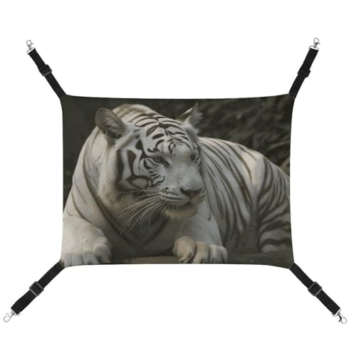 QMNVBDS Weiße Bengal-Tiger-Katzen-Hängematte Frettchen-Hängematte Meerschweinchen-Hängematte Ratten-Hängematte Hängematte, Katzenbett, Chinchilla-Hängematte, Hamster-Hängematte, Katzenhängematte für von QMNVBDS