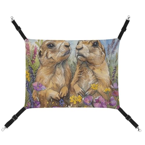 QMNVBDS Zwei Prärie Hunde Katze Hängematte Frettchen Hängematte Meerschweinchen Hängematte Ratten Hängematte Hängende Katzenbett Chinchilla Hängematte Hamster Hängematte Katze Hängematte für Käfig von QMNVBDS