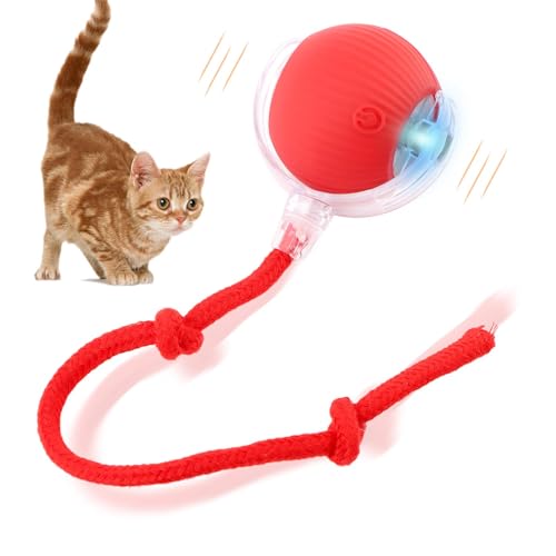 QOTSTEOS Interaktives Katzenspielzeug, elektrischer Hundeballspielzeug, interaktiver rollender Hundeball, Katzenspielzeug für Indoor-Katzen, elektrische Rollbälle, Hundespielzeug, intelligente QOTSTEOS Interaktives Katzenspielzeug, elektrischer Hundeballspielzeug, interaktiver rollender Hundeball, Katzenspielzeug für Indoor-Katzen, elektrische Rollbälle, Hundespielzeug, intelligente von QOTSTEOS