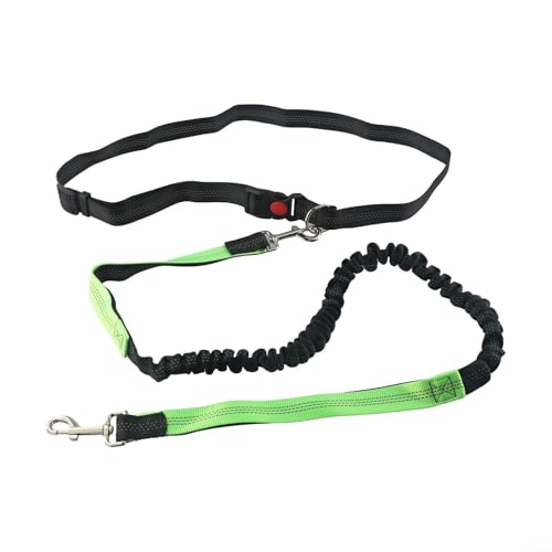 Verstellbare Nylon-Hundeleine mit zuverlässiger Konstruktion und abnehmbarem Wasserflaschenhalter (grün) von QOXEZY