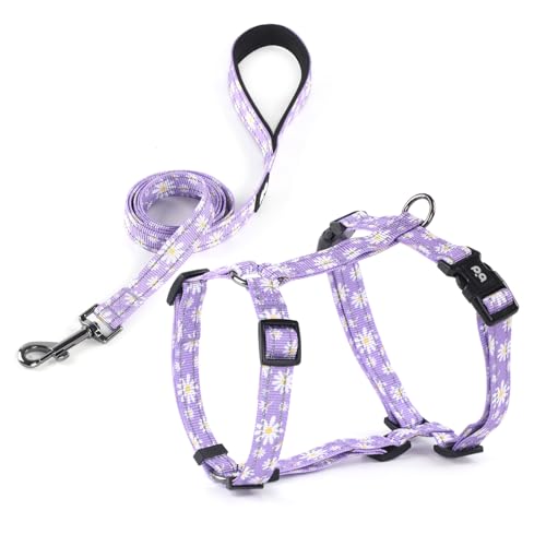 Hundegeschirr, Leine-Set, kein Ziehen, verstellbares Halfter, niedlich, bequem, gepolsterter Griff für mittelgroße, kleine Hunde, Spazierengehen, Training, Laufen, reflektierend, Größe L, Violett Hundegeschirr, Leine-Set, kein Ziehen, verstellbares Halfter, niedlich, bequem, gepolsterter Griff für mittelgroße, kleine Hunde, Spazierengehen, Training, Laufen, reflektierend, Größe L, Violett von QQPETS