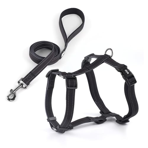 Hundegeschirr, Leine-Set, kein Ziehen, verstellbares Halfter, niedlich, bequem, gepolsterter Griff für mittelgroße und große und kleine Hunde, Spazierengehen, Training, Laufen, reflektierend, Größe S, Hundegeschirr, Leine-Set, kein Ziehen, verstellbares Halfter, niedlich, bequem, gepolsterter Griff für mittelgroße und große und kleine Hunde, Spazierengehen, Training, Laufen, reflektierend, Größe S, von QQPETS