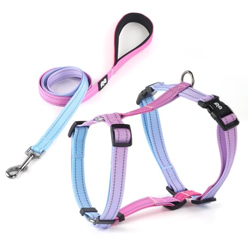 Hundegeschirr, Leine-Set, kein Ziehen, verstellbares Halfter, niedlich, bequem, gepolsterter Griff für mittelgroße und große und kleine Hunde, Spazierengehen, Training, Laufen, reflektierend, Größe M, Hundegeschirr, Leine-Set, kein Ziehen, verstellbares Halfter, niedlich, bequem, gepolsterter Griff für mittelgroße und große und kleine Hunde, Spazierengehen, Training, Laufen, reflektierend, Größe M, von QQPETS