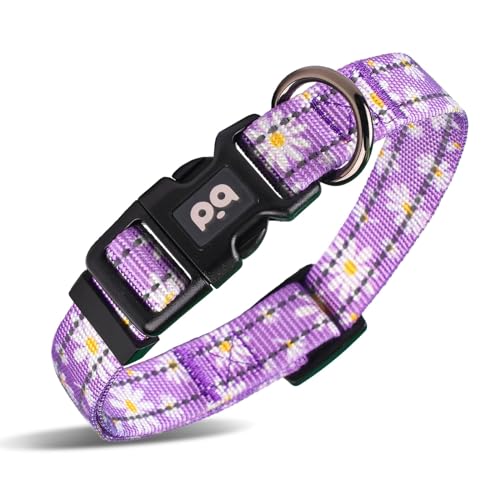 Hundehalsband, niedliche Blume, reflektierend, verstellbar, für Mädchen, Damen, kleine, mittelgroße und große Hunde, zum Spazierengehen, Laufen (XS, Violett) von QQPETS