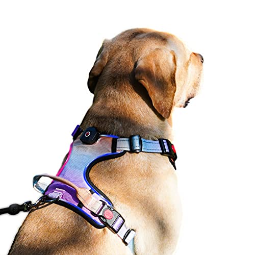 LED-Leuchtendes Hundegeschirr: USB wiederaufladbar, leuchtend, wasserdicht, reflektierend, kein Ziehen, Sicherheitsspaziergänge (schrittweise lila, klein) von QQPETS