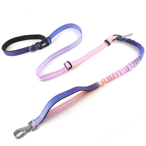 QQPETS Händefreie Hundeleine, verstellbare Taillenleine für Spaziergänge mit dem Hund, vielseitige Crossbody-Bungee-Hundeleine mit Auto-Sicherheitsgurtschnalle für mittelgroße und große Hunde QQPETS Händefreie Hundeleine, verstellbare Taillenleine für Spaziergänge mit dem Hund, vielseitige Crossbody-Bungee-Hundeleine mit Auto-Sicherheitsgurtschnalle für mittelgroße und große Hunde von QQPETS