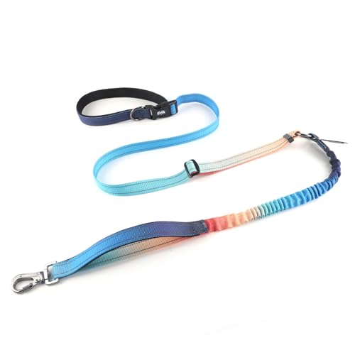 QQPETS Händefreie Hundeleine, verstellbare Taillenleine für Spaziergänge mit dem Hund, vielseitige Crossbody-Bungee-Hundeleine mit Auto-Sicherheitsgurtschnalle für mittelgroße und große Hunde QQPETS Händefreie Hundeleine, verstellbare Taillenleine für Spaziergänge mit dem Hund, vielseitige Crossbody-Bungee-Hundeleine mit Auto-Sicherheitsgurtschnalle für mittelgroße und große Hunde von QQPETS