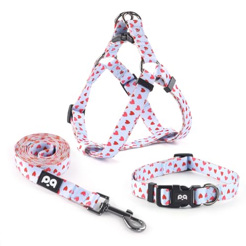 QQPETS Hundegeschirr, Halsband, Leine, kein Ziehen, verstellbarer Rückenclip, Halfter, strapazierfähig, 1,5 m, verdrehsicher, für extra kleine Welpen, mittelgroße und große Rassen, Training, leicht zu QQPETS Hundegeschirr, Halsband, Leine, kein Ziehen, verstellbarer Rückenclip, Halfter, strapazierfähig, 1,5 m, verdrehsicher, für extra kleine Welpen, mittelgroße und große Rassen, Training, leicht zu von QQPETS