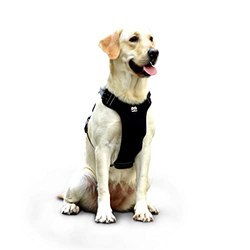 QQPETS Hundegeschirr, reflektierend, verstellbar, weich gepolstert, Oxford-Weste mit einfachem Griff, für Welpen, kleine, mittelgroße und große Haustiere, Outdoor-Spaziergänge, Schwarz von QQPETS