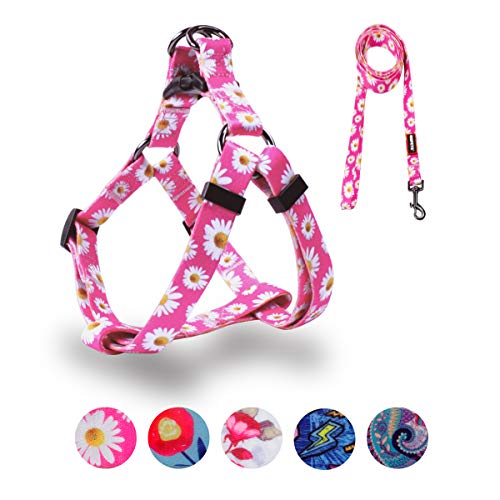 QQPETS Hundegeschirr, verstellbar, strapazierfähig, kein Ziehen, Geschirr für kleine, mittelgroße und große Rassen, Rückenclip, verdrehsicher, perfekt zum Spazierengehen, Größe S (Brustumfang 35,6 - QQPETS Hundegeschirr, verstellbar, strapazierfähig, kein Ziehen, Geschirr für kleine, mittelgroße und große Rassen, Rückenclip, verdrehsicher, perfekt zum Spazierengehen, Größe S (Brustumfang 35,6 - von QQPETS