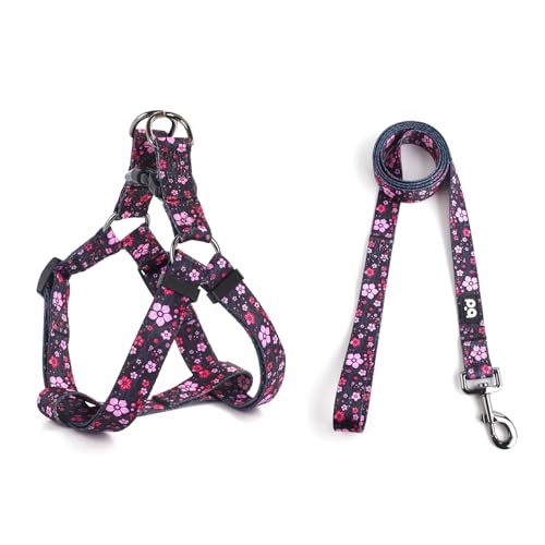QQPETS Hundegeschirr mit Leine, verstellbar, strapazierfähig, kein Ziehen, für kleine, mittelgroße und große Rassen, Rückenclip, Anti-Verdrehen, perfekt zum Spazierengehen QQPETS Hundegeschirr mit Leine, verstellbar, strapazierfähig, kein Ziehen, für kleine, mittelgroße und große Rassen, Rückenclip, Anti-Verdrehen, perfekt zum Spazierengehen von QQPETS
