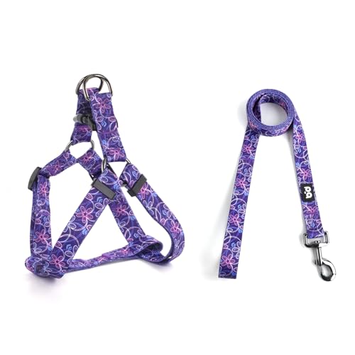 QQPETS Hundegeschirr mit Leine, verstellbar, strapazierfähig, kein Ziehen, für kleine, mittelgroße und große Rassen, Rückenclip, Anti-Verdrehen, perfekt zum Spazierengehen QQPETS Hundegeschirr mit Leine, verstellbar, strapazierfähig, kein Ziehen, für kleine, mittelgroße und große Rassen, Rückenclip, Anti-Verdrehen, perfekt zum Spazierengehen von QQPETS