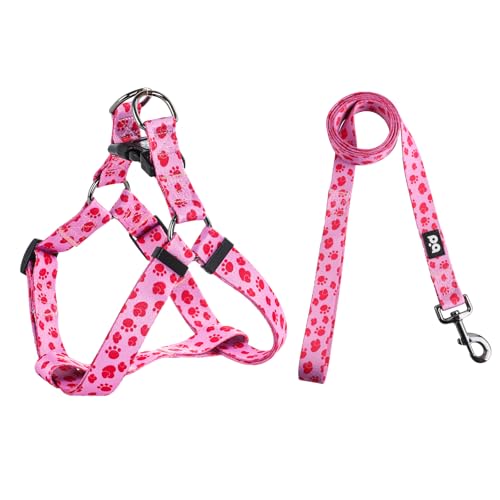 QQPETS Hundegeschirr mit Leine, verstellbar, strapazierfähig, kein Ziehen, für kleine, mittelgroße und große Rassen, Rückenclip, Anti-Verdrehen, perfekt zum Spazierengehen QQPETS Hundegeschirr mit Leine, verstellbar, strapazierfähig, kein Ziehen, für kleine, mittelgroße und große Rassen, Rückenclip, Anti-Verdrehen, perfekt zum Spazierengehen von QQPETS