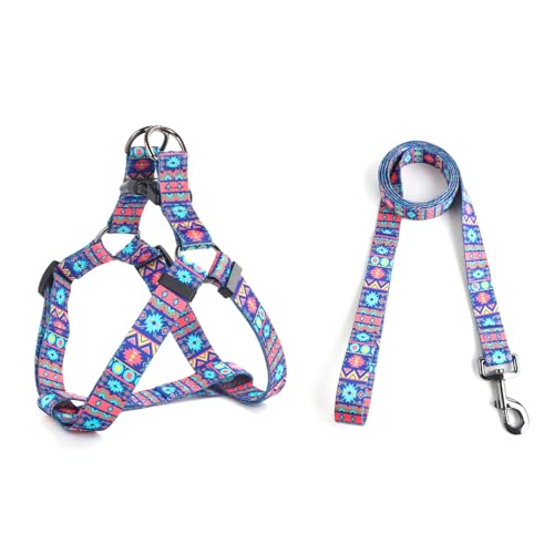 QQPETS Hundegeschirr mit Leine, verstellbar, strapazierfähig, kein Ziehen, für kleine, mittelgroße und große Rassen, Rückenclip, Anti-Verdrehen, perfekt zum Spazierengehen QQPETS Hundegeschirr mit Leine, verstellbar, strapazierfähig, kein Ziehen, für kleine, mittelgroße und große Rassen, Rückenclip, Anti-Verdrehen, perfekt zum Spazierengehen von QQPETS